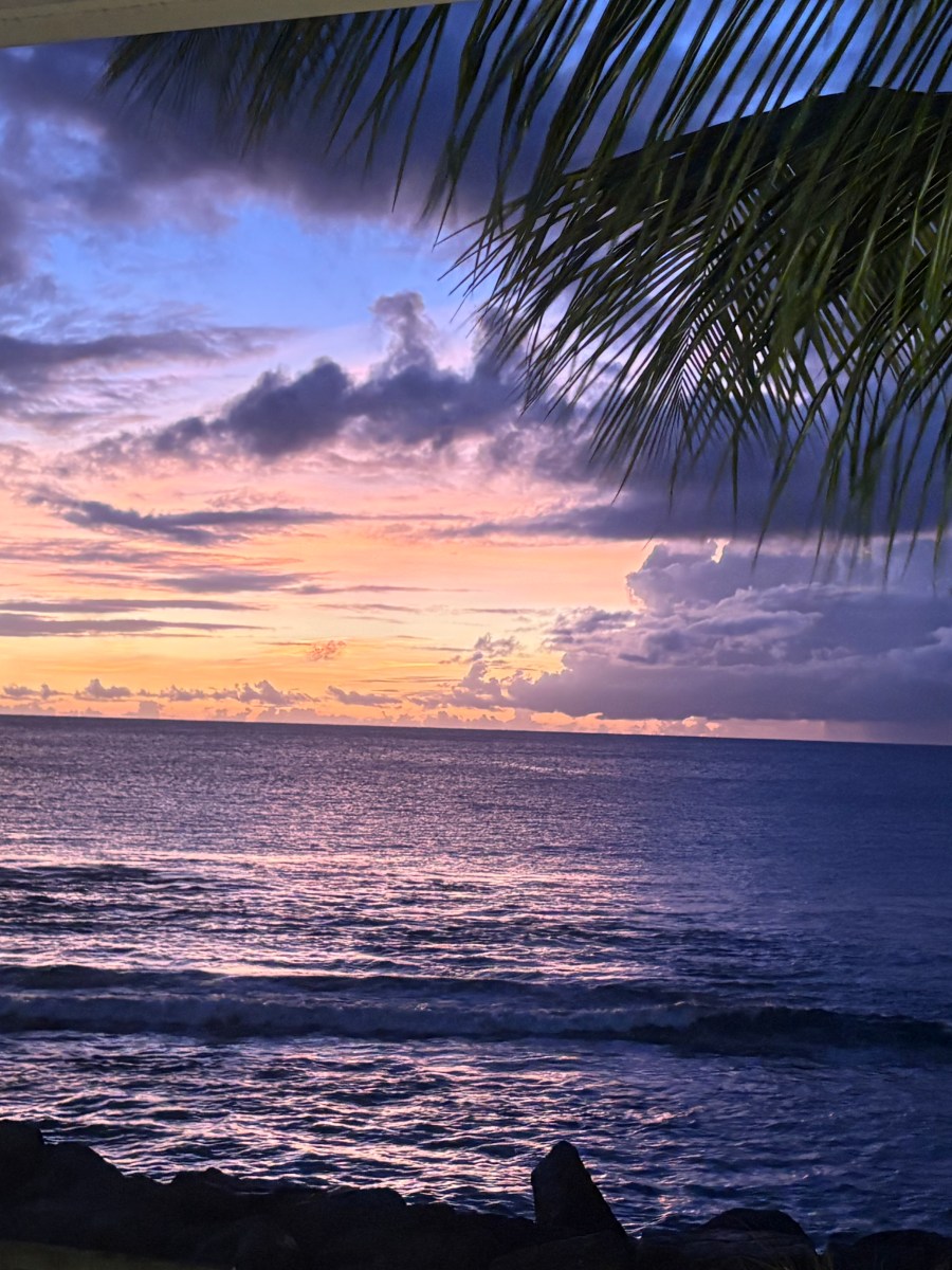 Winter sun is the way forward